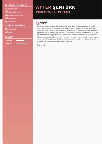 Pastacı Cv Örnekleri cv indir